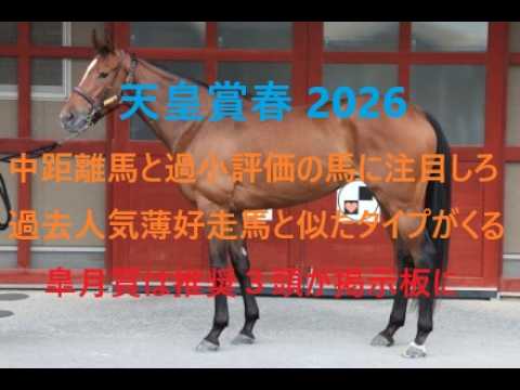 天皇賞春 2026 中距離馬と過小評価の馬に注目しろ！！過去好走穴馬と似たタイプがくる 皐月賞は推奨３頭が掲示板に