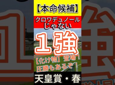 天皇賞 春 2026　クロワデュノールじゃない！【化け物】登場！ １強！