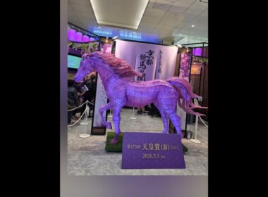 突然現れる？！紫に光る馬🐎天皇賞（春）2026.5.3 #競馬 #天皇賞春 #馬 #jra #イベント #jr大阪駅 #京都競馬場 #京都南丹市 #京都女性漢方まつみ薬局 #shorts