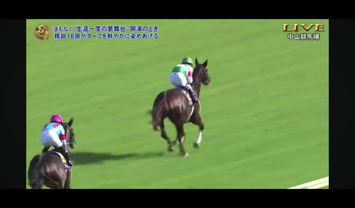 2026年皐月賞G1 本馬場入場