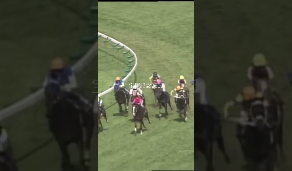 悲願のGⅠ制覇 メイショウドトウ＃競馬＃ドラマ＃宝塚記念＃天皇賞秋＃ジャパンカップ＃有馬記念＃天皇賞春＃メイショウドトウ＃テイエムオペラオー