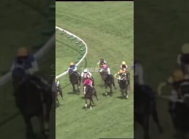 悲願のGⅠ制覇 メイショウドトウ＃競馬＃ドラマ＃宝塚記念＃天皇賞秋＃ジャパンカップ＃有馬記念＃天皇賞春＃メイショウドトウ＃テイエムオペラオー