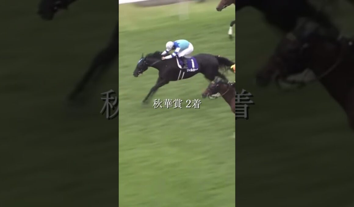 悲願のGⅠ制覇 ヴィルシーナ＃競馬＃ドラマ＃桜花賞＃オークス＃秋華賞＃ジェンティルドンナ＃三冠＃ヴィルシーナ＃悲願＃G1＃制覇＃ヴィクトリアマイル＃連覇