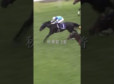 悲願のGⅠ制覇 ヴィルシーナ＃競馬＃ドラマ＃桜花賞＃オークス＃秋華賞＃ジェンティルドンナ＃三冠＃ヴィルシーナ＃悲願＃G1＃制覇＃ヴィクトリアマイル＃連覇