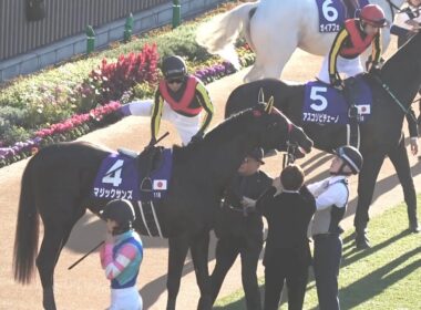 【現地 パドック】2025 G1 マイルチャンピオンシップ  各陣営の様子【京都競馬場】