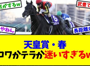 【天皇賞春2026】天皇賞・春 クロワかテラか迷いすぎるww【競馬】