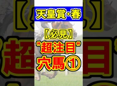 【天皇賞・春】超注目の穴馬①！ #競馬 #競馬予想 #天皇賞春 #shorts
