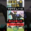 【天皇賞春2026】クロワデュノール、人気だけど危険?? #競馬 #競馬予想 #凱旋門賞 #天皇賞・春 #天皇賞春 #クロワデュノール #アドマイヤテラ
