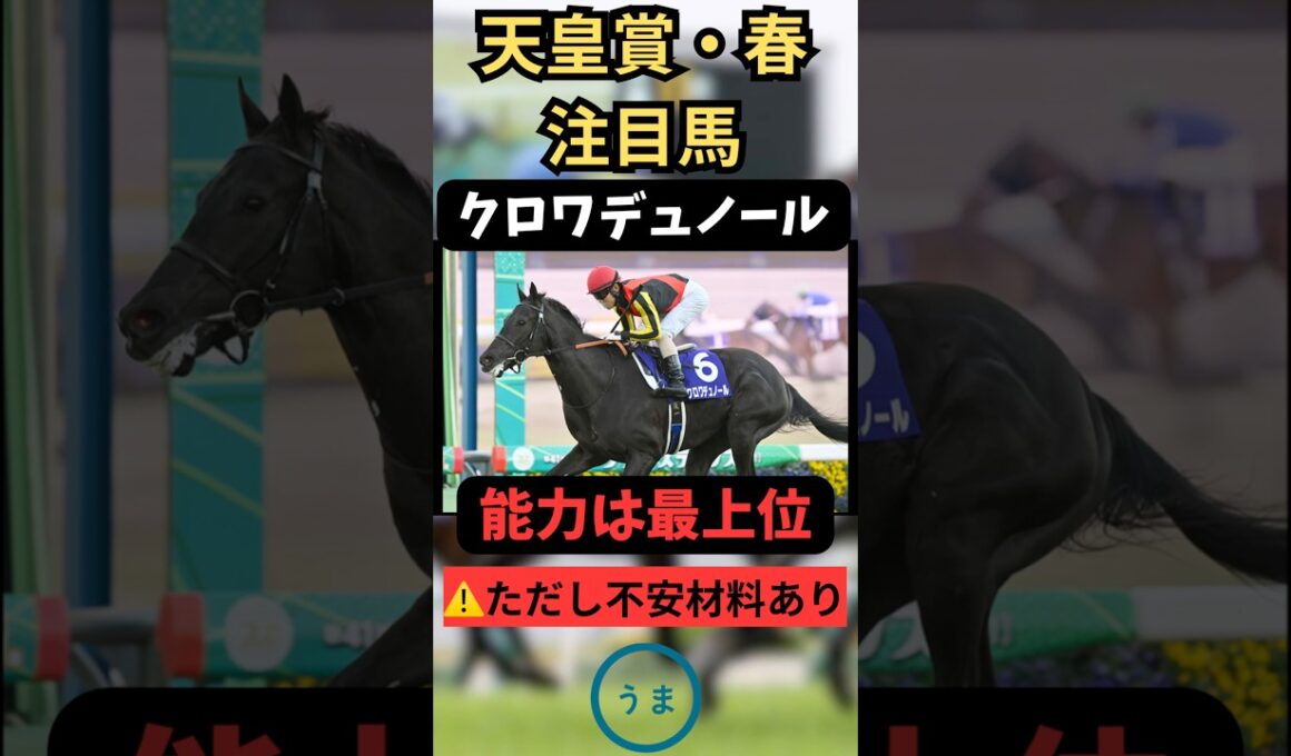 【天皇賞春2026】クロワデュノール、人気だけど危険?? #競馬 #競馬予想 #凱旋門賞 #天皇賞・春 #天皇賞春 #クロワデュノール #アドマイヤテラ