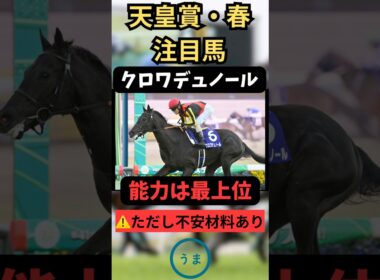 【天皇賞春2026】クロワデュノール、人気だけど危険?? #競馬 #競馬予想 #凱旋門賞 #天皇賞・春 #天皇賞春 #クロワデュノール #アドマイヤテラ