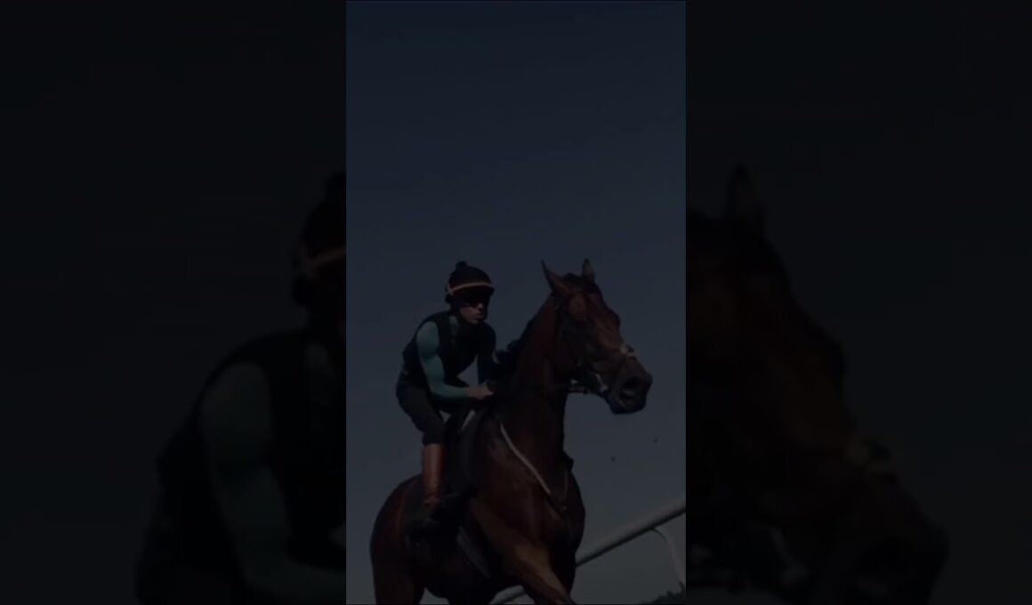 東京優駿（日本ダービー）を語るに言葉は要らない　〜ただひたすら頂点へ駆けよ〜 #競馬 #競馬予想 #東京優駿 #日本ダービー