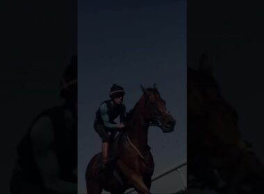 東京優駿（日本ダービー）を語るに言葉は要らない　〜ただひたすら頂点へ駆けよ〜 #競馬 #競馬予想 #東京優駿 #日本ダービー