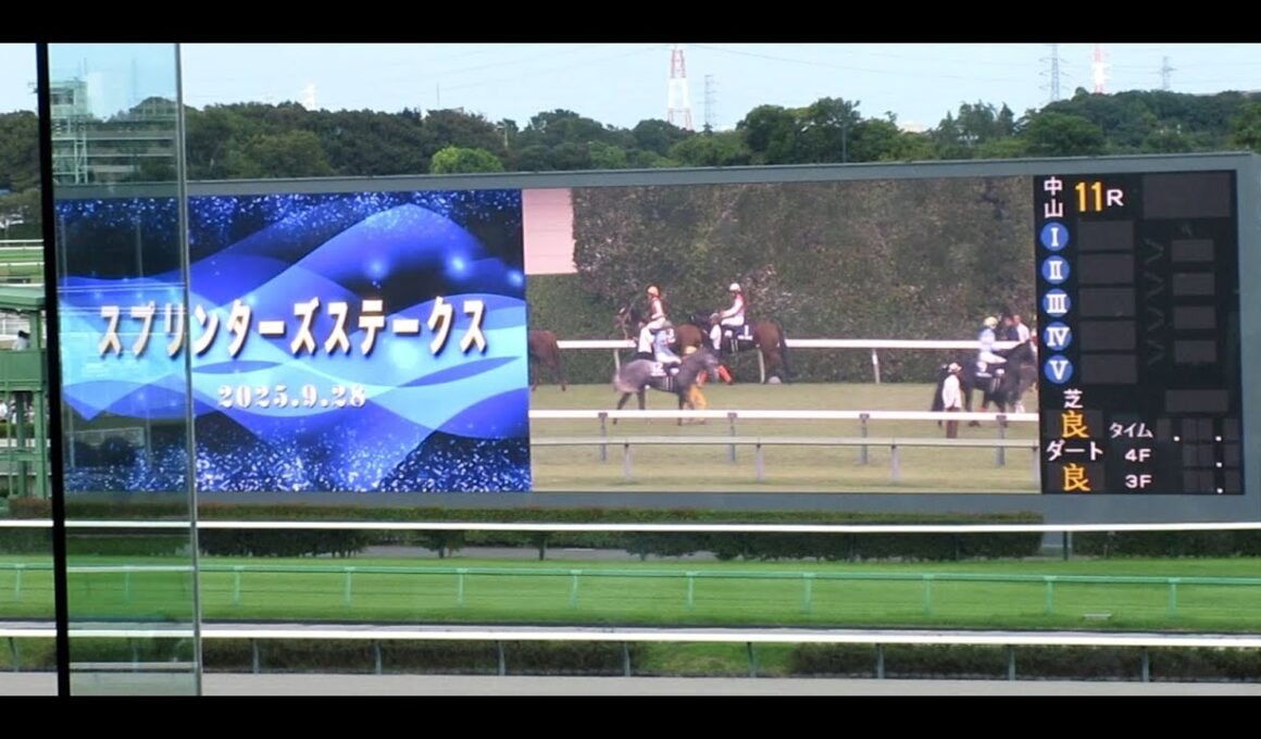 2025 G1スプリンターズステークス【現地映像】