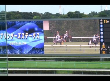 2025 G1スプリンターズステークス【現地映像】