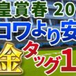 天皇賞春2026【絶対軸1頭】公開！クロワデュノールでもヘデントールでもない！人気サイドで最も安心して買える１強は？