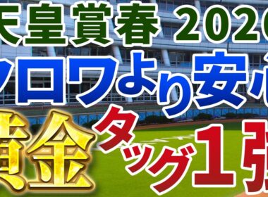 天皇賞春2026【絶対軸1頭】公開！クロワデュノールでもヘデントールでもない！人気サイドで最も安心して買える１強は？
