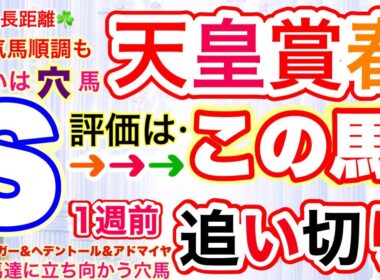 【天皇賞春2026】いよいよ春の大一番！穴党専科しーいちの1週前追い切り評価、長距離のレースは１度使うと疲れも溜まるが状態維持かそれ以上！