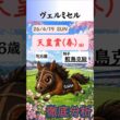 ヴェルミセル徹底分析｜天皇賞(春)