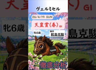 ヴェルミセル徹底分析｜天皇賞(春)