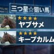 安田記念の前哨戦で万馬券を狙え！三つ星☆条件をクリアした「厳選二頭」を独占公開