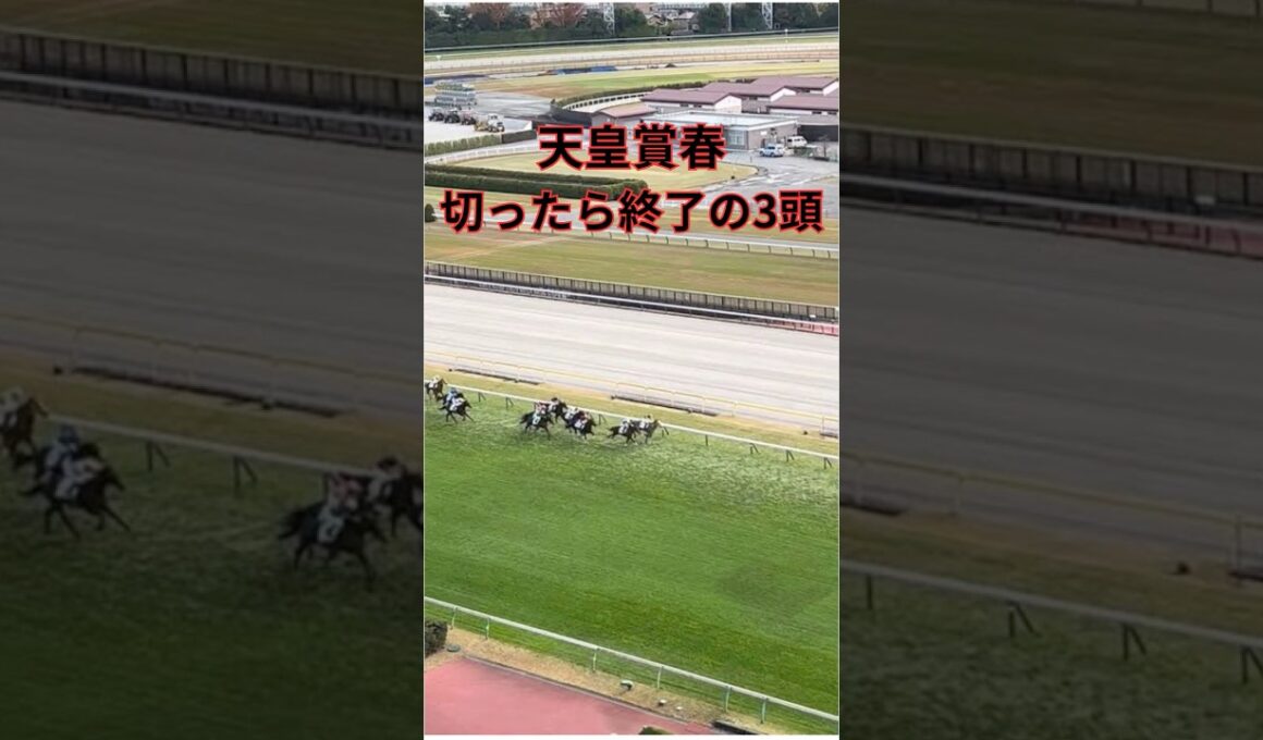 天皇賞春 切ったら終了の3頭 #競馬 #競馬予想 #shorts #天皇賞春
