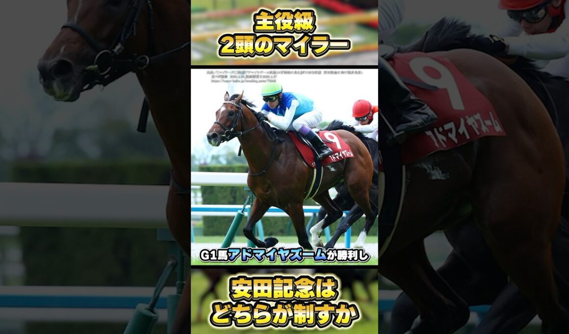 【安田記念2026】アドマイヤズームがジャンタルマンタルに待ったをかける！　#shorts #競馬 #競馬予想 #馬 #マイラーズカップ #香港マイル #アドマイヤズーム #ジャンタルマンタル