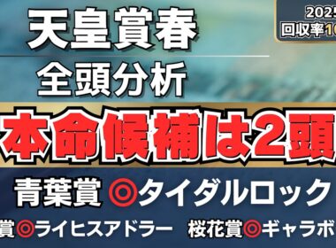 【天皇賞春2026】信頼できる人気馬は？本命候補はこの2頭◎【全頭分析】
