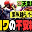 【天皇賞春2026】不穏な一言!? 関係者が語るクロワデュノールの真実【春天】
