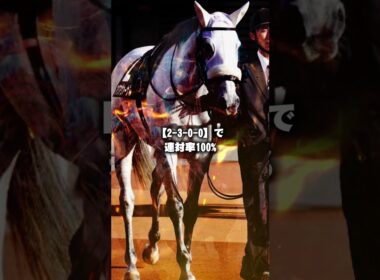 【天皇賞春2026予想】天皇賞春の穴馬2頭を紹介！