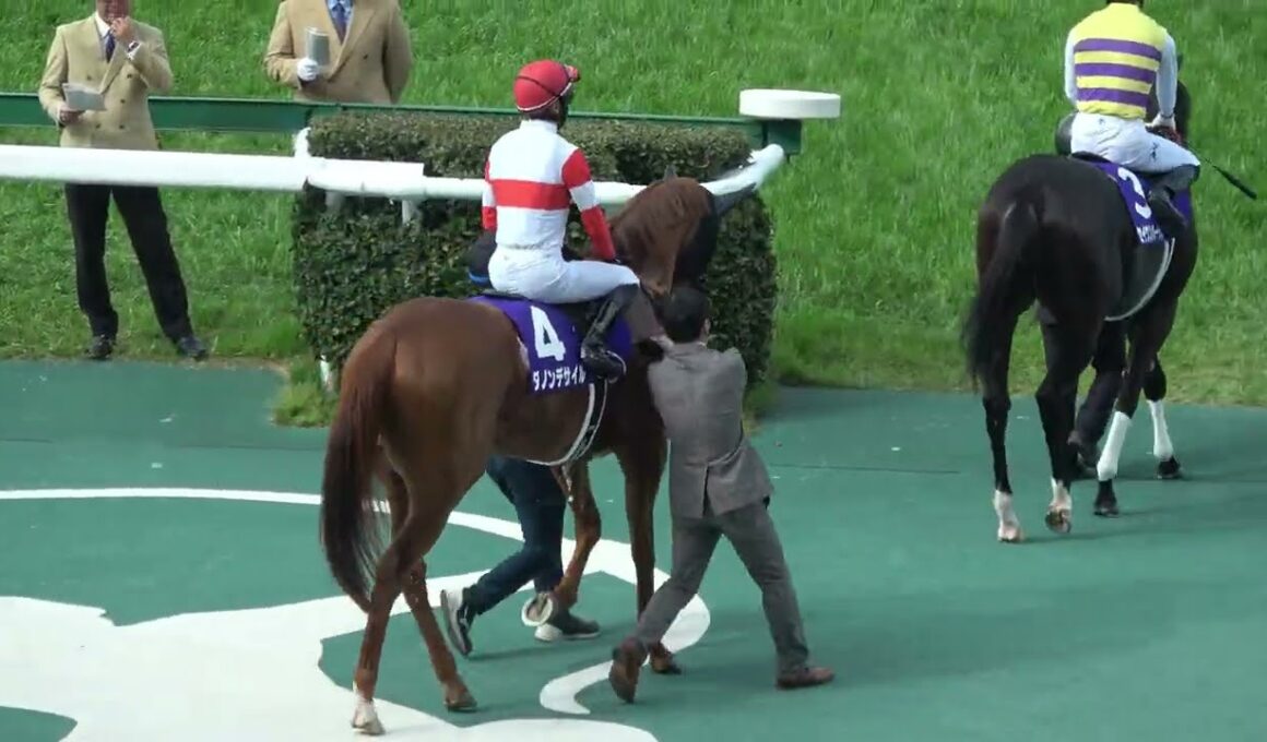 【大阪杯2026】本馬場入場 現地映像 クロワデュノール