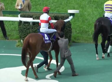 【大阪杯2026】本馬場入場 現地映像 クロワデュノール