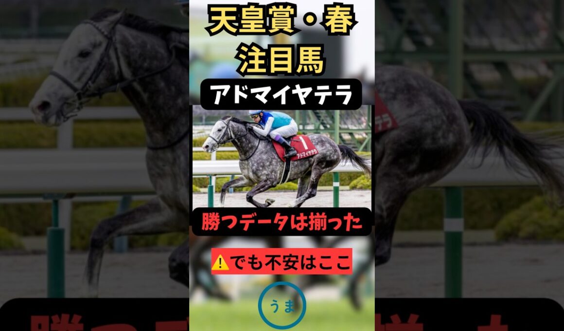 【天皇賞春2026】アドマイヤテラ徹底評価 #競馬 #競馬予想 #天皇賞春 #クロワデュノール #ヘデントール