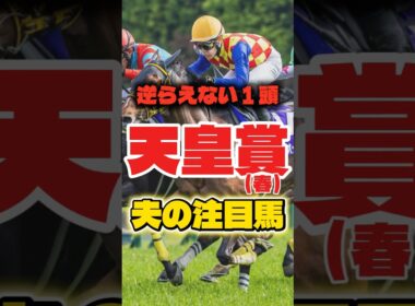 天皇賞(春)2026 今年の中心馬。逆らえない1頭とは？
