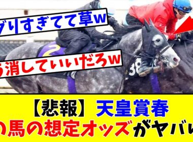 【天皇賞春】【悲報】あの馬の想定オッズがヤバすぎる!?www