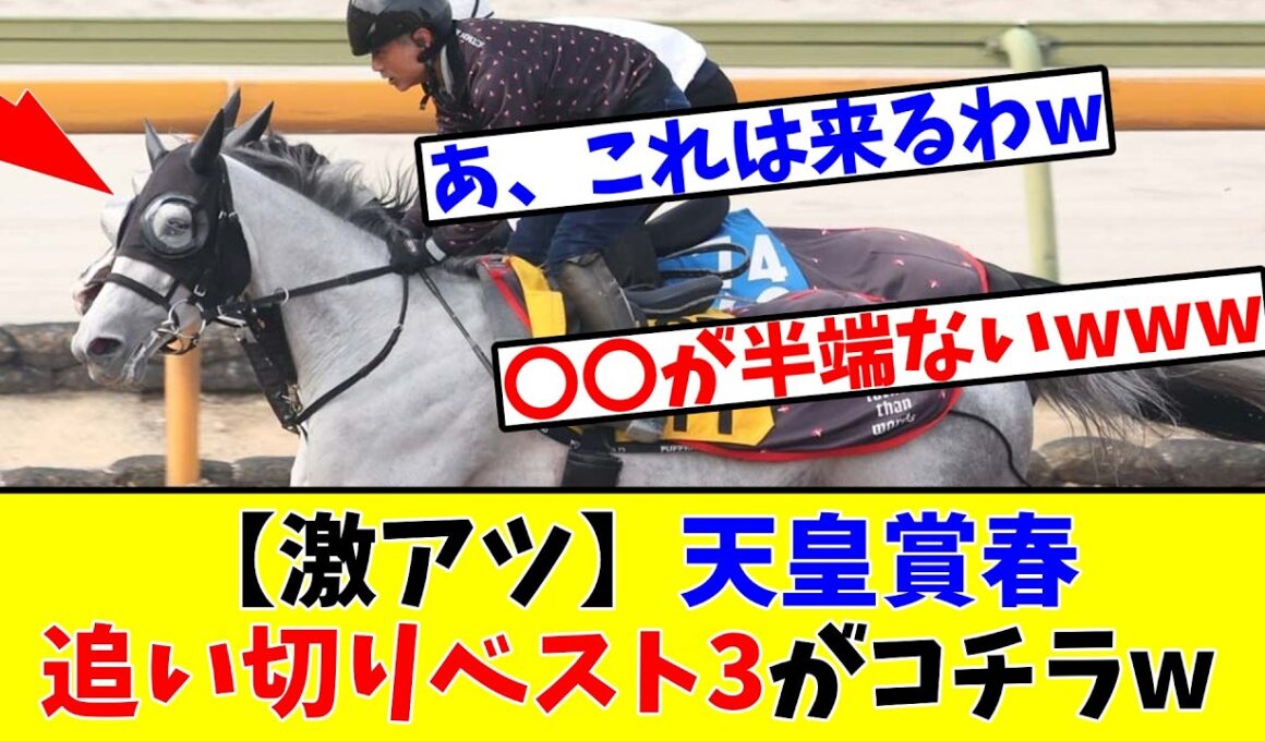 【天皇賞春】【激アツ】予想家たちが選んだ追い切りベスト3がコチラwww