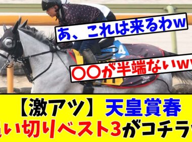 【天皇賞春】【激アツ】予想家たちが選んだ追い切りベスト3がコチラwww
