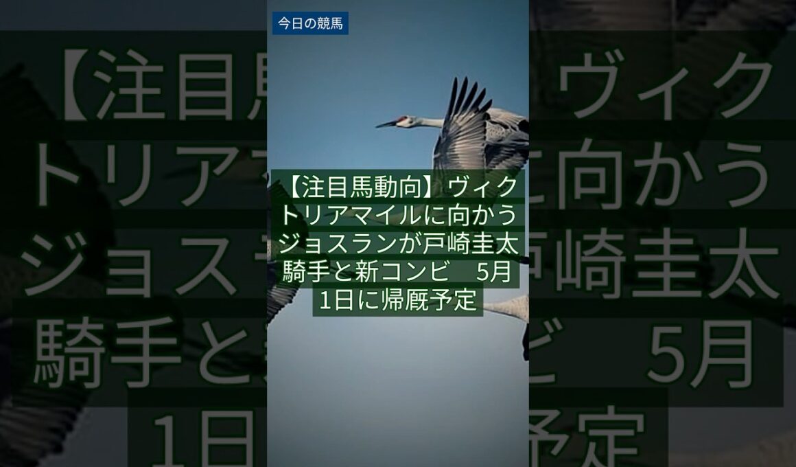 2026年4月29日 【注目馬動向】ヴィクトリアマイルに向かうジョスランが戸崎圭太騎手と新コンビ　5月1日に帰厩予定｜競馬速報 #Shorts