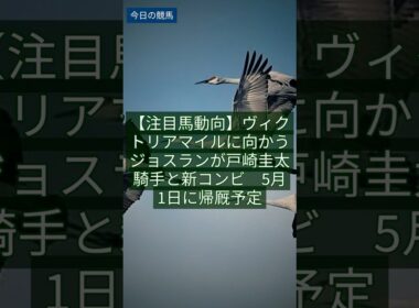 2026年4月29日 【注目馬動向】ヴィクトリアマイルに向かうジョスランが戸崎圭太騎手と新コンビ　5月1日に帰厩予定｜競馬速報 #Shorts