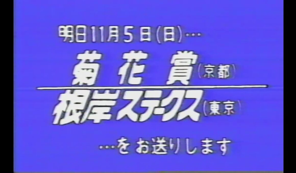 懐かしの「中央競馬ダイジェスト」1989年 菊花賞・前日