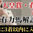 【天皇賞春2026 予想】有力馬徹底解説！勝負度合いが全然違う！ココを勝ちに来た激アツの馬とは？