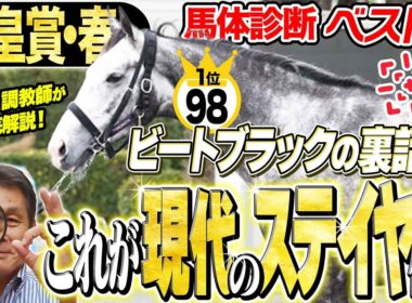 【天皇賞・春2026】ダービー馬のステイヤー適性は！？ビートブラックの意外な馬体適性の話も！中村均元調教師が馬体診断ベスト５を発表 ！《東スポ競馬》