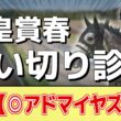 追い切り徹底解説！【天皇賞春2026】クロワデュノール、アドマイヤテラなどの状態はどうか？調教S評価は2頭！