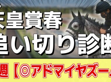 追い切り徹底解説！【天皇賞春2026】クロワデュノール、アドマイヤテラなどの状態はどうか？調教S評価は2頭！