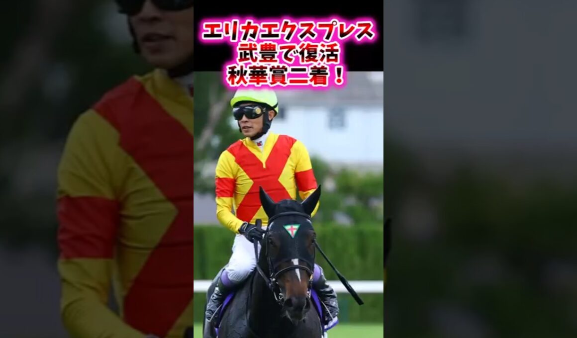 エリカエクスプレス武豊で復活秋華賞二着！【競馬反応集】#秋華賞　#武豊　#エリカエクスプレス
