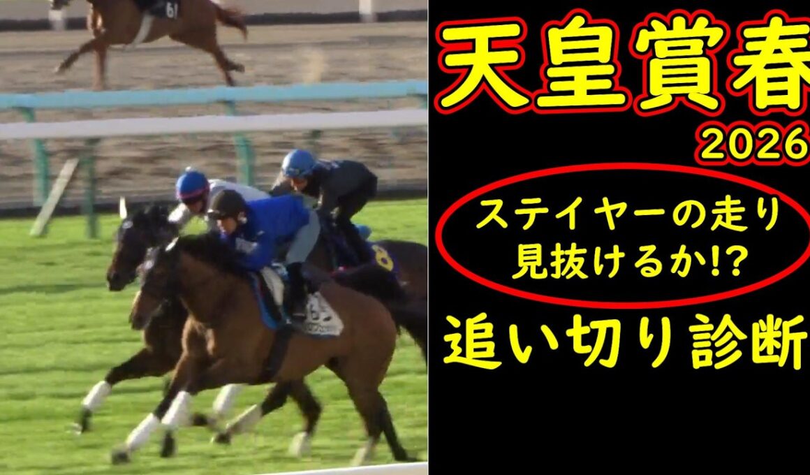 【天皇賞春2026追い切り診断】ステイヤーの真価が暴かれる 人気馬の危険なサインとは