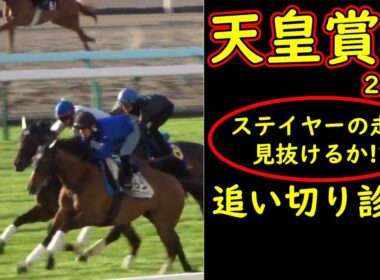 【天皇賞春2026追い切り診断】ステイヤーの真価が暴かれる 人気馬の危険なサインとは