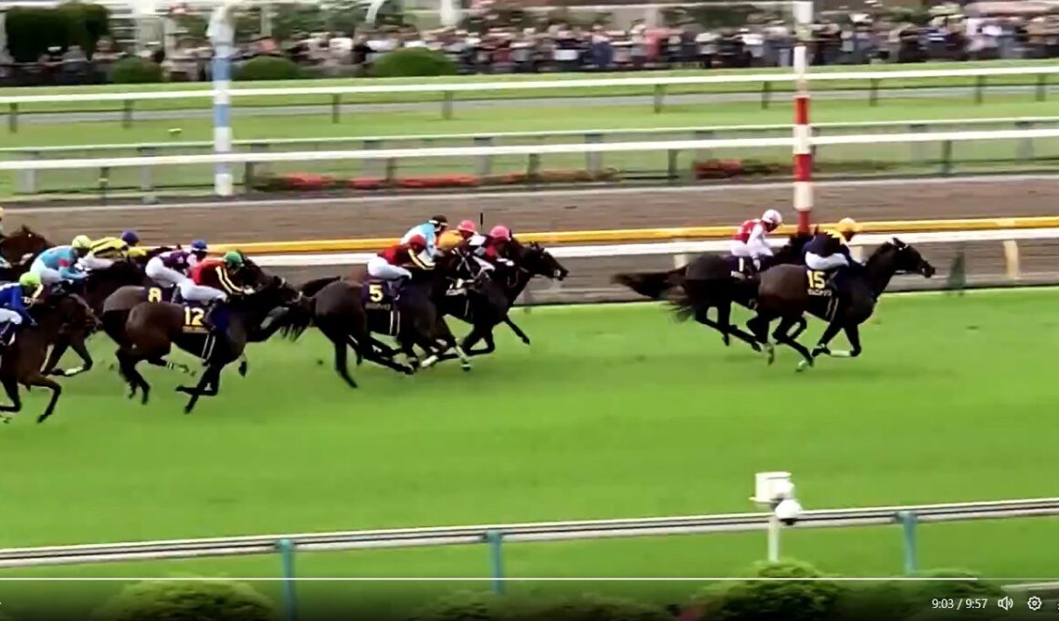 優駿牝馬・オークス 1981～2025 81テンモン 85ノアノハコブネ 05シーザリオ 08トールポピー 10アパパネ＆サンテミリオン 14ヌーヴォレコルト 23リバティアイランド 25カムニャック