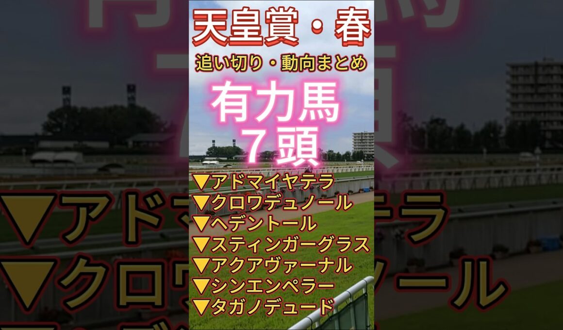 【天皇賞・春 2026】　１週前追い切りまとめ #競馬予想 #天皇賞・春 #アドマイヤテラ #追い切り #クロワデュノール
