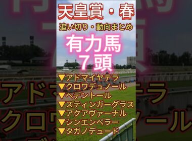 【天皇賞・春 2026】　１週前追い切りまとめ #競馬予想 #天皇賞・春 #アドマイヤテラ #追い切り #クロワデュノール