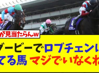 今年の日本ダービー、ロブチェンに勝てる馬 マジでいなくね…【競馬】